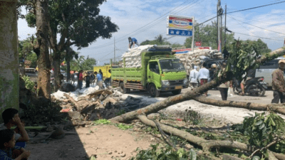 Korban Tewas Truk Maut Jalur Tengkorak Bangbayang Cianjur Bertambah, Jadi 6 Orang