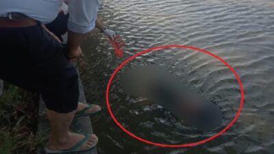 Pelaku Dicokok Polisi, Misteri Jasad Dipocong Pakai Lakban di Indramayu Terungkap