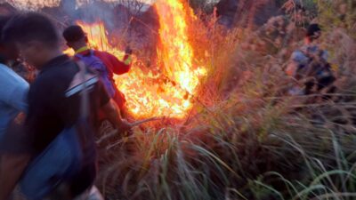 Taman Nasional Gunung Ciremai Terbakar, Polisi Selidiki Penyebabnya