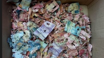 Kebahagiaan  Samin Uangnya Yang Dimakan Rayap Diganti BI