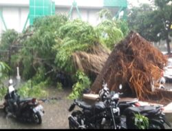 Sejumlah Pohon di kawasan GOR Pajajaran Bogor Tumbang