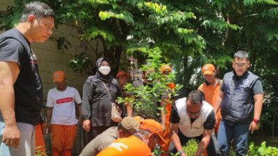 Gerakan Menanam Pohon