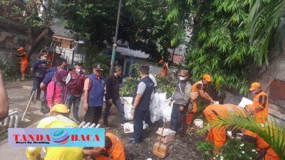 Pasukan Orange Lingkungan Hidup