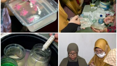 Emak-emak Nyepet Pakai Jelly, Aneka Ragam Bunga Nan Indah Muncul