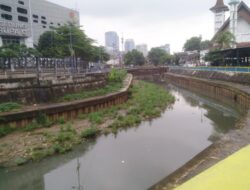 Aliran Ciliwung di Kawasan Kalipasir Disulap Jadi Ladang, Copot Kadis dan Kasudin