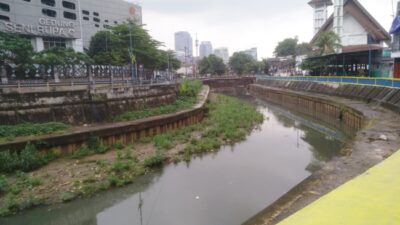 Ciliwung di Kawasan Kalipasir