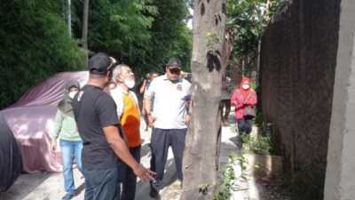 Izin Tebang Pohon PTSP