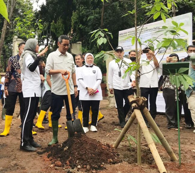Bukan Barang Baru