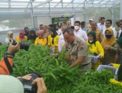 Kebun Bhineka RW06 Kebonkosong Panen Kangkung, Walikota Jakpus Bilang Ini