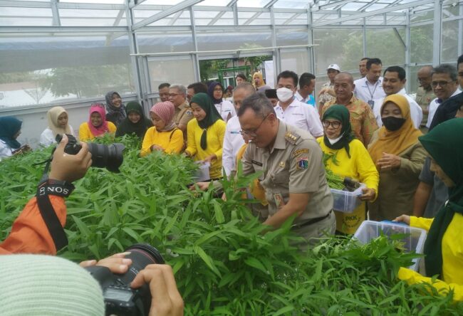 Kebun Bhineka RW06 Kebonkosong