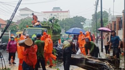 Hujan dan Angin Kencang, Pohon Beringin Depan SD Roboh Hajar Tiang PLN
