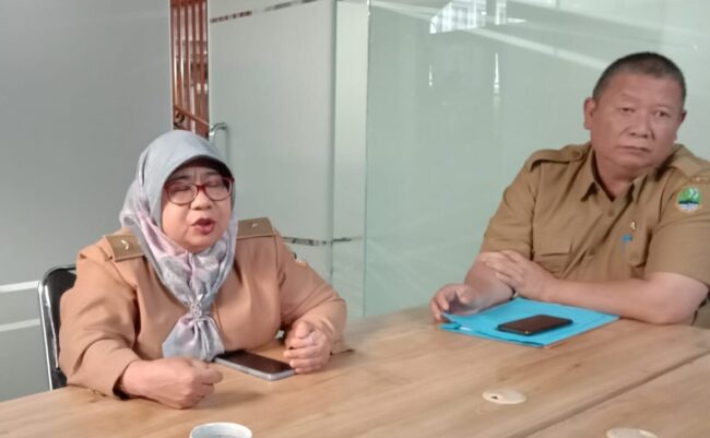 Reses Fiktif