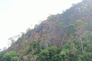 Kebakaran Hutan Gunung Jayanti