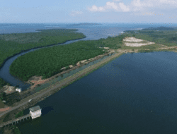 Pertanyaannya, Bagaimana Jika Xinyi Glass Holdings Gagal Berinvestasi di Pulau Rempang?