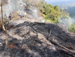 Kebakaran Hutan Gunung Salak Berhasil Dipadamkan