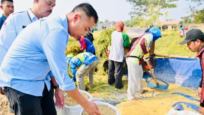 Kepala Daerah Didorong Melakukan Penguatan Produksi Pangan
