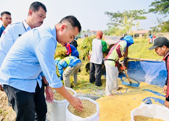 Penguatan Produksi Pangan