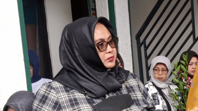 Penyelenggaraan Perlindungan PMI