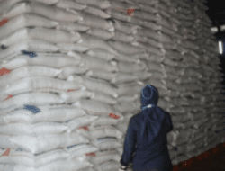Harga Beras Mengalami Kenaikan di Bogor, Zulhas Bilang Begini