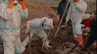 Hari Kedelapan, 10 Bodypack Dievakuasi dari Lokasi Longsor KBB
