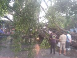 Hujan dan Angin Kencang Terjadi di Bandung, Satu Tewas, 31 Pohon Tumbang, Dua Baliho Roboh