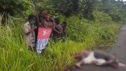 KKB Bunuh Warga Sipil, TNI Lakukan Pengejaran dan Penegakan Hukum