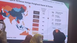 Produksi Karet Turun Drastis, Viva Yoga Dorong Pembaruan Data dan Tata Kelola Perkaretan Nasional